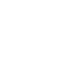 Fast Processing Icon